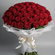 Букет 101 Красная роза Блэк Мэджик в Кулешовке