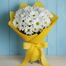Букет цветов из:  Хризантемы в Кулешовке