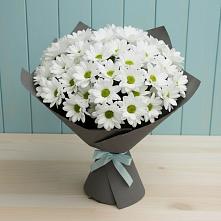 Букет цветов из:  Хризантемы #REPLACE_PRED# Кулешовке