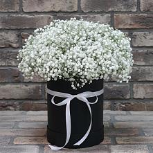 Цветочная композиция из Гипсофила в шляпной коробке в Кулешовке