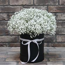 Цветочная композиция из Гипсофила в шляпной коробке в Кулешовке