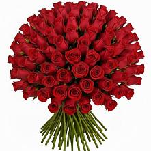 Букет Красные розы Чери Лав в Кулешовке