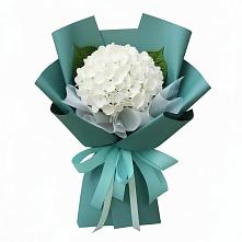 Букет цветов из:  Гортензия в Кулешовке